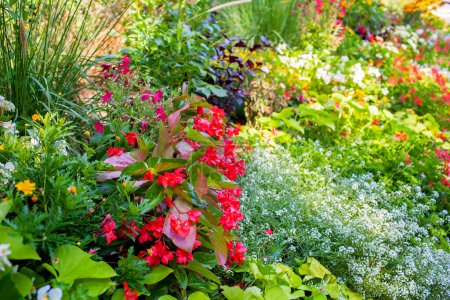 Foto de Un vibrante jardín en Yvoire exhibe un caleidoscopio de flores, creando un exuberante mosaico de texturas y colores, un testimonio del orgullo hortícola de las ciudades. - Imagen libre de derechos
