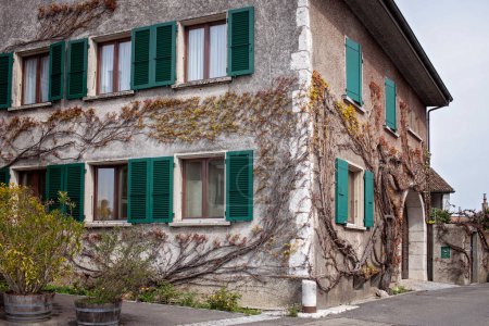 Foto de Encantadora casa antigua con persianas verdes abrazadas por plantas trepadoras en un pintoresco pueblo suizo, que evoca una sensación de viaje y la idílica vida rural en Europa - Imagen libre de derechos