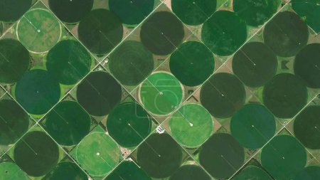 Photo for Circular fields, Center pivot irrigation system and food safety, looking down aerial view from above, birds eye view big circular fields, cultivated fields and colorful fields - Royalty Free Image