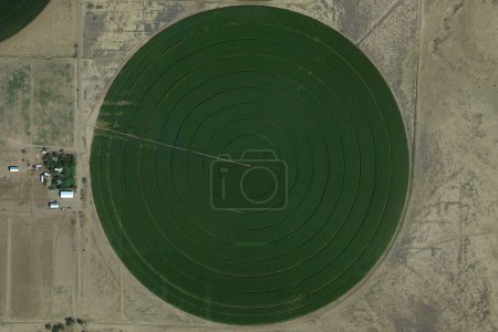 Kreisförmige Felder, Center Pivot Bewässerungssystem und Lebensmittelsicherheit, Blick nach unten Luftaufnahme von oben, Vogelperspektive große kreisförmige Felder, kultivierte Felder und bunte Felder