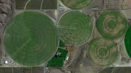 Champs circulaires, système d'irrigation à pivot central et sécurité alimentaire, vue aérienne d'en haut, vue des oiseaux grands champs circulaires, champs cultivés et champs colorés