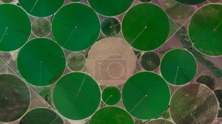 Foto de Campos circulares, sistema de riego pivote del centro y seguridad alimentaria, mirando hacia abajo vista aérea desde arriba, vista de aves grandes campos circulares, campos cultivados y campos coloridos - Imagen libre de derechos