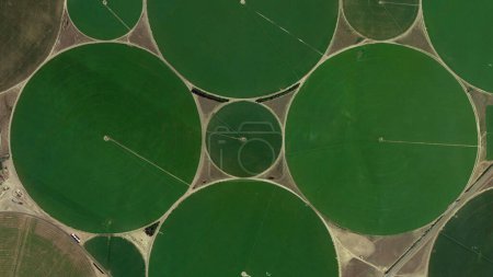 Circular fields, Center pivot irrigation system and food safety, looking down aerial view from above, birds eye view big circular fields, cultivated fields and colorful fields