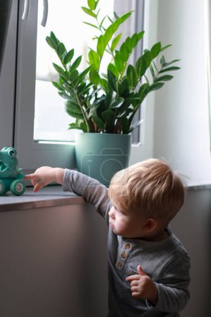Téléchargez les photos : Enfant jouant sur le rebord de la fenêtre, Zamioculcas plante dans un pot en arrière-plan. Photo de haute qualité - en image libre de droit