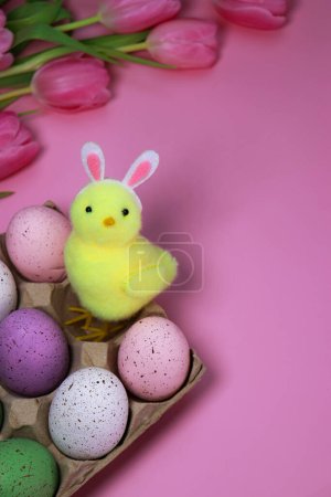 Foto de Little yellow Easter chicken background with tulips and colourful eggs . Copy Space with top view - Imagen libre de derechos