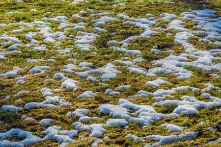 La nieve se derrite en la hierba verde del césped a finales de invierno o principios de primavera.