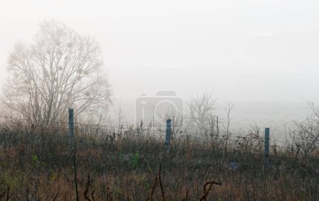 Nebliger Herbstmorgen auf dem Land mit einem Zaun aus Stacheldraht und Betonpfeilern