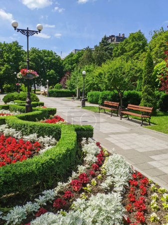 Schöner Park in der Stadt Krementschuk mit Blumenbeeten, Bänken, Büschen und Bäumen entlang der Allee