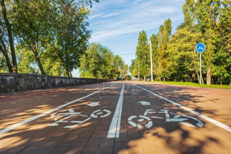 White markings of a bicycle path on an alley in a city park or garden on a sunny summer day. Kremenchuk city, Ukraine