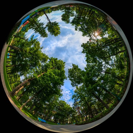 Garden or city park with trees and alley on a summer day. Wide angle 180 degree view shot through a circular fisheye lens. Fulldome photo format