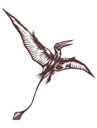 Illustration for Rhamphorhynchus dinosaur - hand drawn vector illustration - Out line - Royalty Free Image
