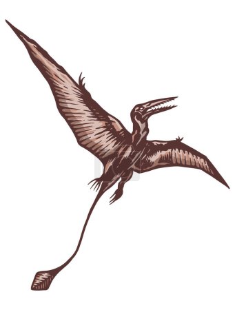 Illustration for Rhamphorhynchus dinosaur - hand drawn vector illustration - Royalty Free Image