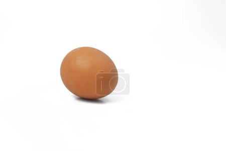 Round chicken egg on a white background, isolated white