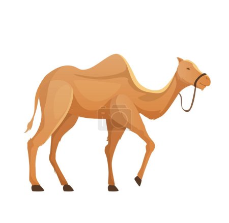 Illustration for Camel in profile on white background vector illustration - Royalty Free Image