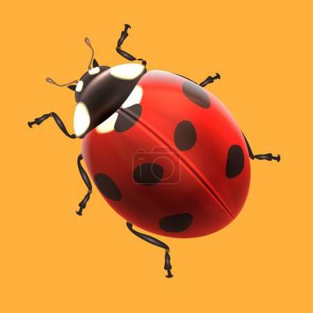 red ladybug insect on orange background
