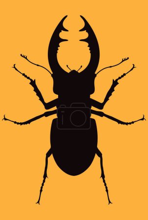 Ilustración de Silueta negra de un escarabajo - Imagen libre de derechos