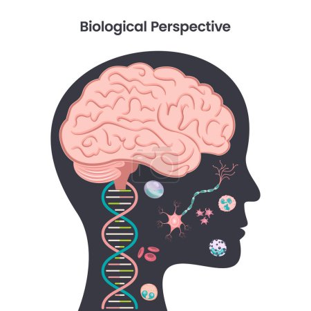 Ilustración de Perspectiva biológica psicología educación vector ilustración diseño - Imagen libre de derechos