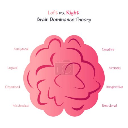 Téléchargez les illustrations : Illustration vectorielle de la théorie de la dominance cérébrale gauche / droite - en licence libre de droit