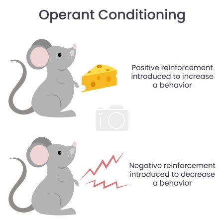 Illustration for Operant Conditioning educational vector illustration infographic - Royalty Free Image