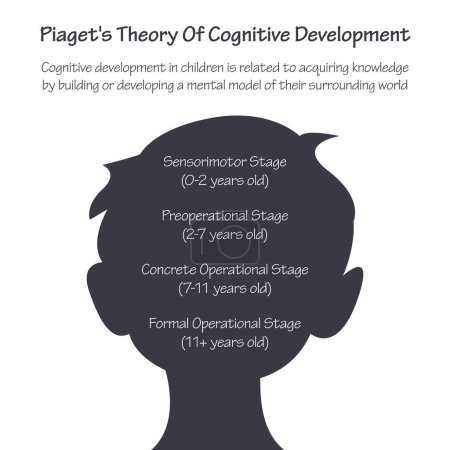 Foto de Teoría de Piaget del desarrollo cognitivo vector infográfico - Imagen libre de derechos