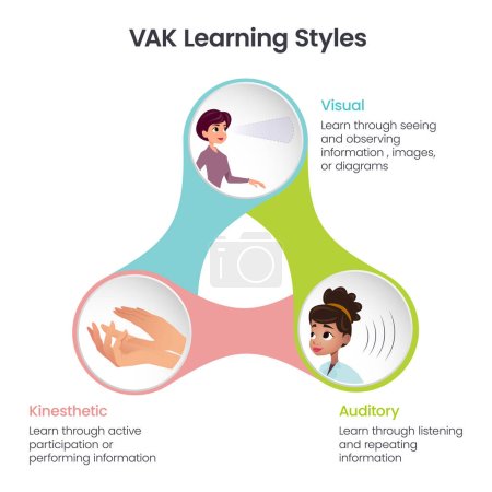 Illustration for VAK Learning Styles infographic vector illustration - Royalty Free Image