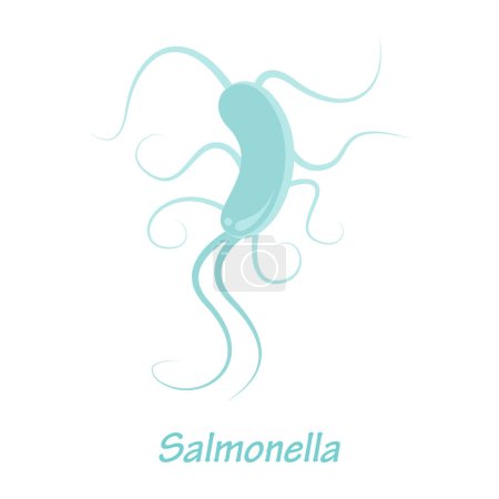 Téléchargez les illustrations : Illustration vectorielle de bactéries salmonelles graphique - en licence libre de droit