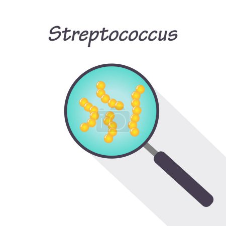 Illustration for Vector Illustration of Magnifying Glass and Streptococcus - Royalty Free Image