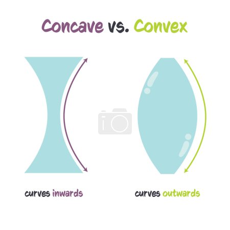 Ilustración de Cóncavo versus convexo vector ilustración infografía - Imagen libre de derechos
