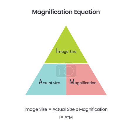 Illustration for Magnification equation science vector illustration diagram - Royalty Free Image