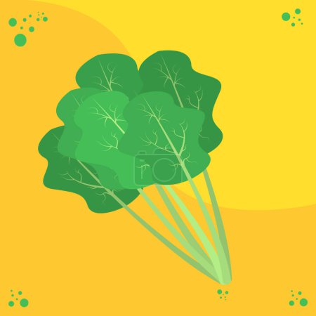 Illustration for Vector illustration of a bundle of spinach - Royalty Free Image