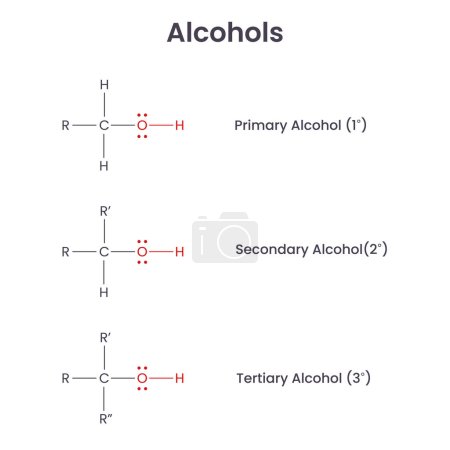 Téléchargez les illustrations : Diagramme vectoriel du groupe fonctionnel de biochimie de l'alcool - en licence libre de droit