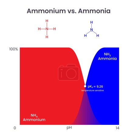 Illustration for Ammonium Versus Ammonia Comparison science vector illustration graphic - Royalty Free Image