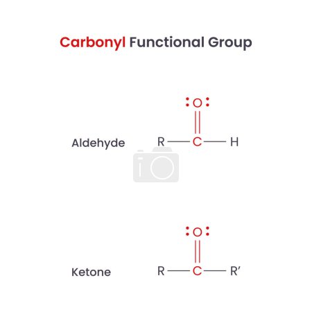 Téléchargez les illustrations : Carbonyl Biochemistry Functional Groups Infographie vectorielle sur l'aldéhyde et la cétone - en licence libre de droit