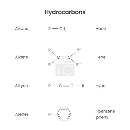 Illustration pour Hydrocarbures groupes fonctionnels biochimie science vectoriel infographie - image libre de droit