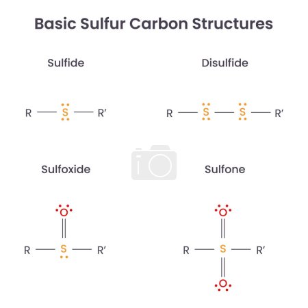 Téléchargez les illustrations : Illustration vectorielle scientifique des structures basiques en carbone sulfureux graphique - en licence libre de droit