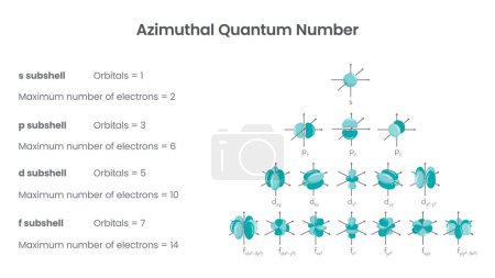Illustration for Azimuthal quantum number angular measurement physics vector illustration diagram - Royalty Free Image