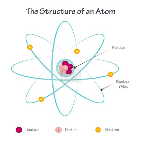 Illustration for The Structure of an Atom vector illustration diagram - Royalty Free Image