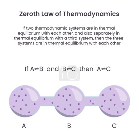 Illustration for Zeroth Law of Thermodynamics biochemistry science vector graphic - Royalty Free Image