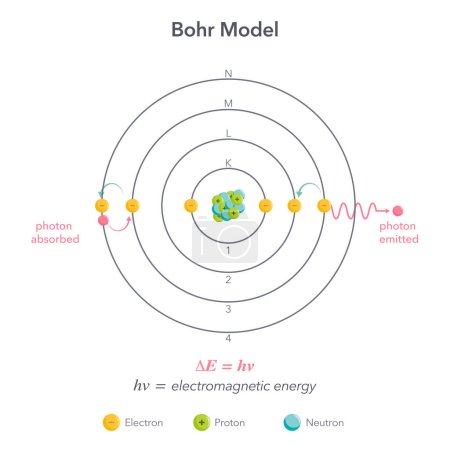 Téléchargez les illustrations : Bohr modèle physique chimie atome vecteur illustration diagramme - en licence libre de droit