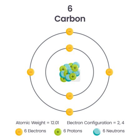 Téléchargez les illustrations : Diagramme vectoriel d'illustration de configuration d'électrons de l'élément 6 de carbone - en licence libre de droit