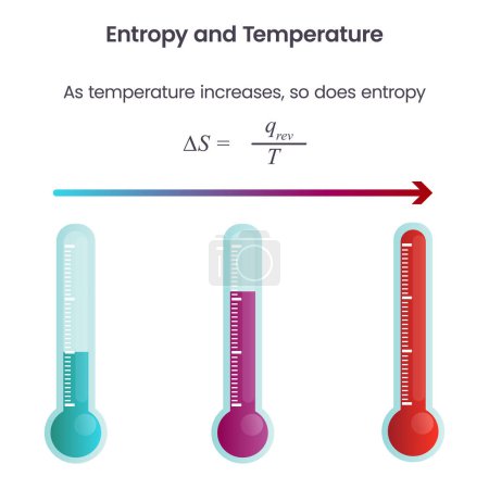 Ilustración de Entropía y temperatura ciencia vector ilustración gráfica - Imagen libre de derechos