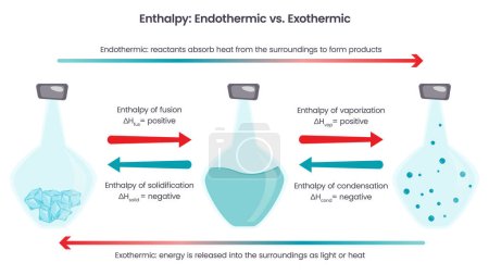 Illustration for Enthalpy endothermic versus exothermic reactions chemistry vector illustration - Royalty Free Image