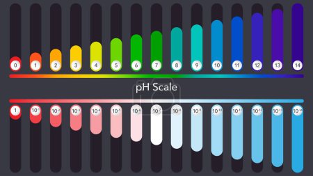 Téléchargez les illustrations : Illustration vectorielle scientifique échelle pH infographie sombre - en licence libre de droit
