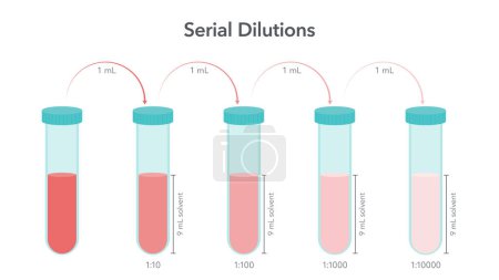Illustration for Serial Dilutions science vector illustration infographic - Royalty Free Image