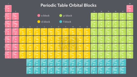 Illustration for Periodic Table of Orbital Blocks science vector illustration graphic - Royalty Free Image