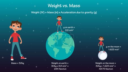 Illustration for Mass versus weight physics scientific vector infographic - Royalty Free Image