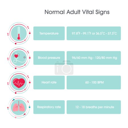 Illustration for Normal Adult Vital Signs vector illustration infographic - Royalty Free Image