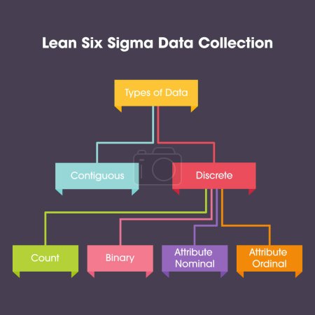 Illustration for Lean Six Sigma Data Collection business vector illustration graphic - Royalty Free Image
