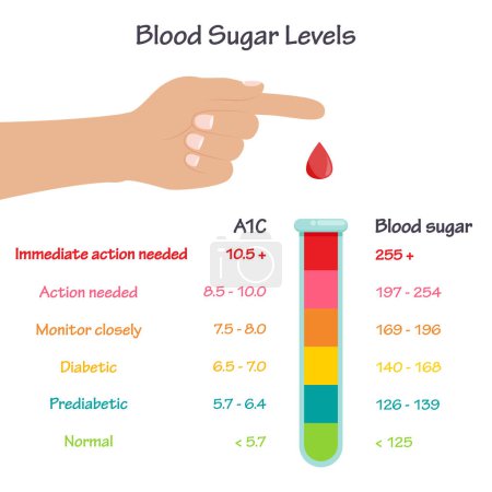 Illustration for A1C blood glucose sugar medical vector illustration infographic - Royalty Free Image
