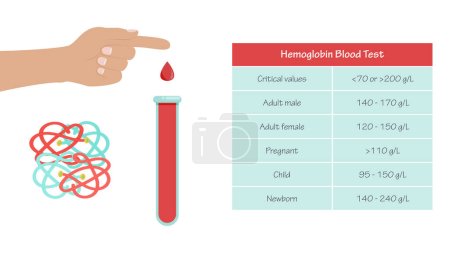 Ilustración de Hemoglobina Hgb Hb Análisis de sangre vector médico ilustración infografía - Imagen libre de derechos